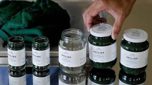 Fresh spirulina paste being put into jars in Bangkok. Photo: AFP Source: www.news.com.au