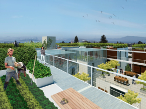 A photo simulation of what the project’s rooftop farms could look like Image: Stanley Saitowitz / Natoma Architects Source: www.berkeleyside.com