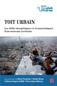 Toit urbain